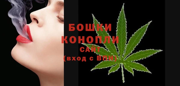 мяу мяу мука Няндома