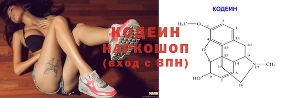мяу мяу мука Няндома