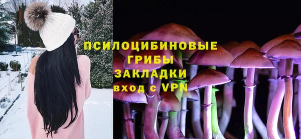 мяу мяу мука Няндома