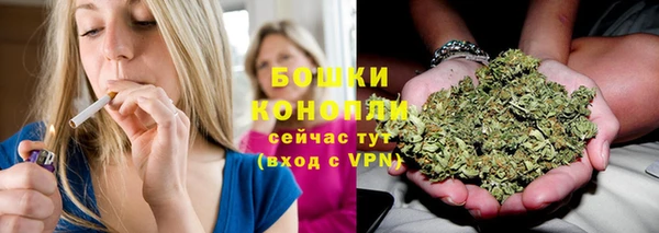 мяу мяу мука Няндома